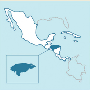 Honduras FTO Yellow Honey