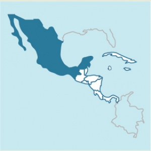 Mexico Oaxaca Pluma Juqulia Micro-lot