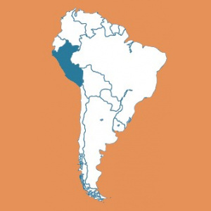 Peru Decaf Organic