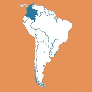 Colombia Decaf Swiss Water Processed