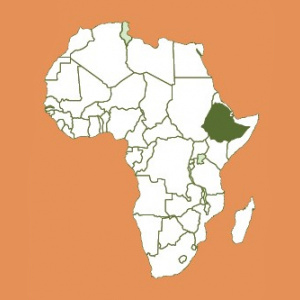 Ethiopia Decaf Natural