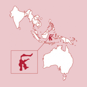 Sulawesi