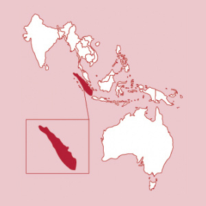 Sumatra Red Cherry Triple Picked