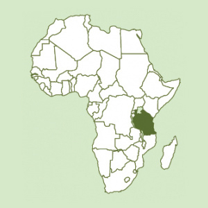 Tanzania