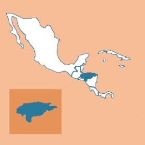 Honduras Org Decaf Water Processed