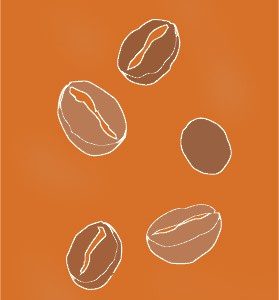 Komodo Decaf Organic Swiss Water