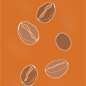 Komodo Decaf Organic Swiss Water