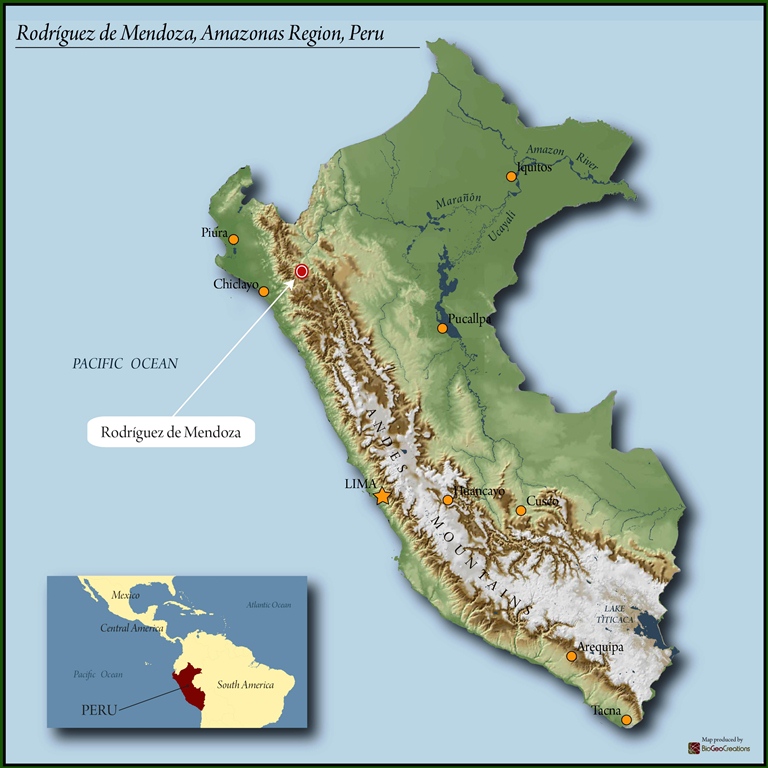 Peru FTO - Image 2