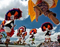 Mexico Oaxaca Pluma Juqulia Micro-lot - Image 2