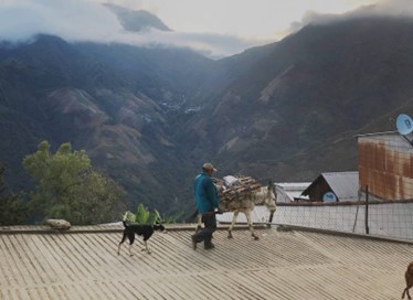 Mexico Oaxaca Pluma Juqulia Micro-lot - Image 3