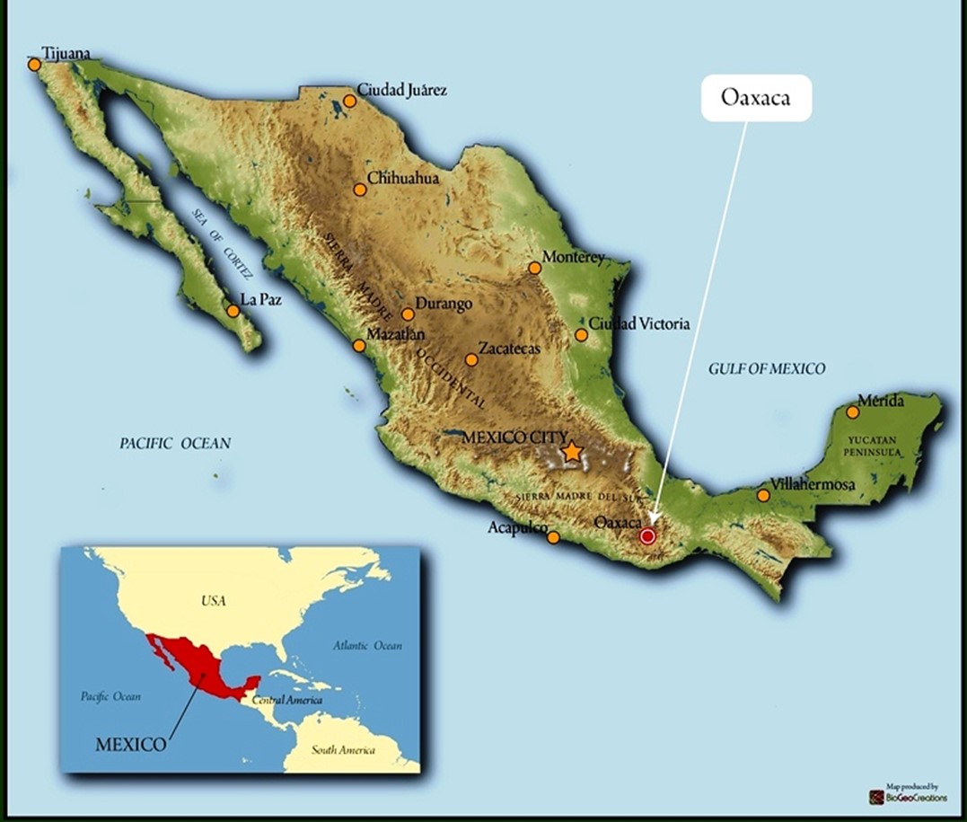 Mexico Oaxaca Pluma Juqulia Micro-lot - Image 5