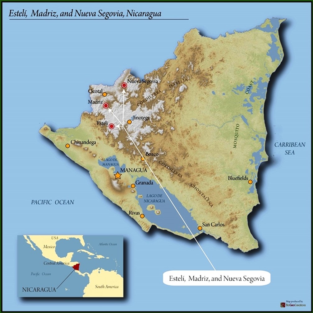 Nicaragua FTO Micro-lot - Image 3