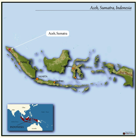 Sumatra Red Cherry Triple Picked - Image 2