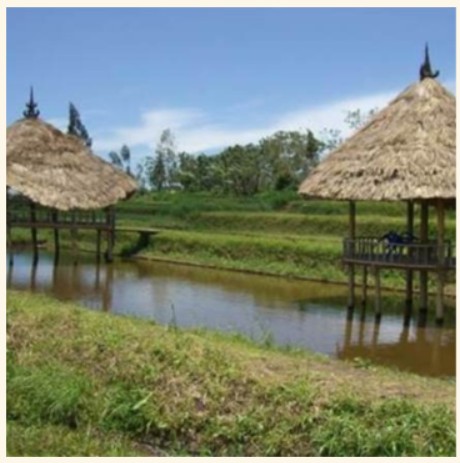 Bali Washed Organic Micro-lot - Image 2